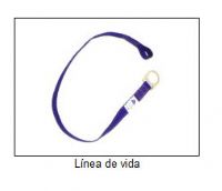 Linea de Vida